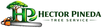 cropped cropped logo master pineda 1.png
