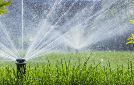 automatic sprinkler system watering the lawn on a background of green grass